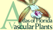 Atlas of Florida Vascular Plants